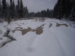 post-7090-0-64394200-1319979702_thumb.jp