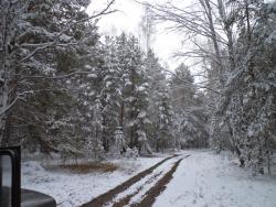 post-7121-0-48135200-1319722213_thumb.jp