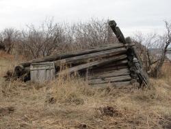 post-7278-0-39821000-1318835981_thumb.jp