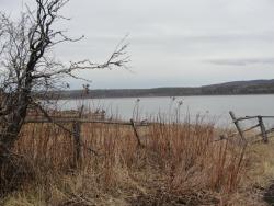 post-7278-0-77729800-1318836010_thumb.jp