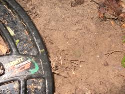 post-7485-0-80301700-1319980992_thumb.jp