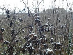 post-7566-0-41455800-1318795669_thumb.jp