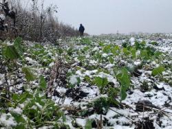 post-7566-0-58145600-1318796069_thumb.jp