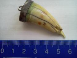 post-7585-0-79424200-1317472719_thumb.jp