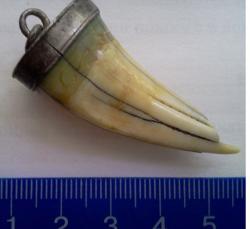 post-7585-0-98602600-1317472694_thumb.jp