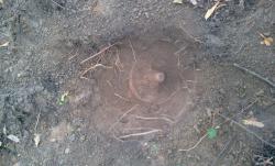 post-7845-0-90385400-1317485694_thumb.jp