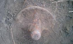 post-7845-0-90541000-1317485698_thumb.jp