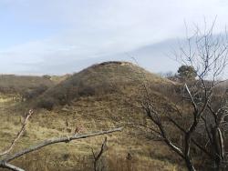 post-8106-0-62461500-1318841813_thumb.jp