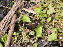 post-10449-0-17391800-1350287136_thumb.j