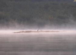 post-10449-0-99762100-1350287191_thumb.j