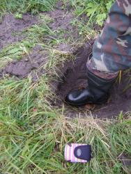 post-11277-0-03368900-1350939659_thumb.j