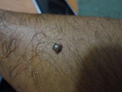 post-12097-0-99737300-1349107588_thumb.j