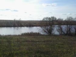 post-12491-0-24493600-1350240232_thumb.j