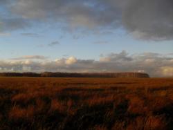 post-13973-0-12891900-1351436692_thumb.j