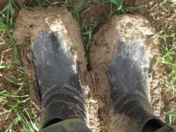 post-13973-0-25140000-1351436656_thumb.j