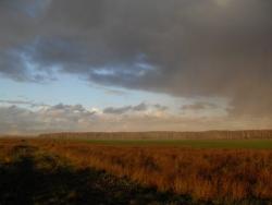 post-13973-0-86630700-1351436640_thumb.j