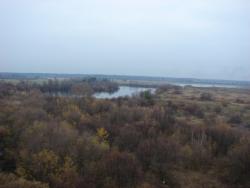 post-15435-0-84418600-1350290176_thumb.j