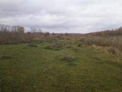 post-1580-0-04509200-1349530202_thumb.jp