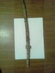 post-2244-0-50562400-1349197416_thumb.jp