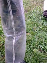 post-3696-0-71787700-1350668776_thumb.jp