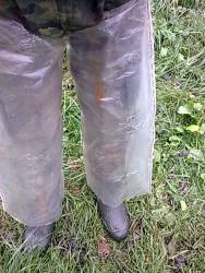 post-3696-0-72611900-1350668804_thumb.jp