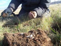 post-4269-0-10062400-1351259674_thumb.jp