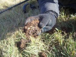 post-4269-0-12303200-1351259529_thumb.jp