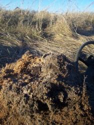 post-4269-0-27456300-1351092722_thumb.jp