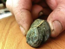 post-4269-0-49010800-1350919268_thumb.jp