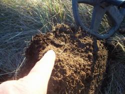 post-4269-0-76804200-1351092987_thumb.jp