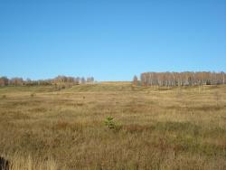 post-4446-0-00503100-1350908488_thumb.jp