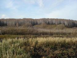 post-4446-0-24216900-1350908573_thumb.jp