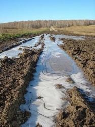 post-4446-0-48551600-1350908471_thumb.jp