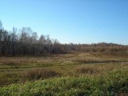 post-4446-0-60412100-1350908477_thumb.jp