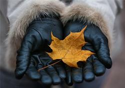 post-4485-0-84019600-1349440368_thumb.jp