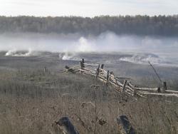 post-4632-0-80474200-1350567393_thumb.jp