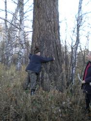 post-4632-0-86157600-1350567381_thumb.jp