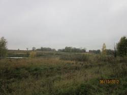 post-4655-0-84284800-1349882299_thumb.jp