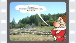 post-5029-0-52560800-1350009375_thumb.jp