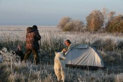 post-5279-0-70409300-1349083319_thumb.jp