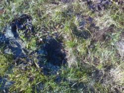 post-5328-0-80429700-1350927022_thumb.jp