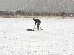 post-5575-0-09600000-1350616797_thumb.jp