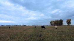 post-5575-0-95611900-1350989628_thumb.jp