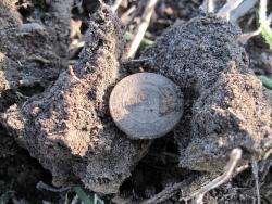 post-6245-0-05190600-1350217018_thumb.jp