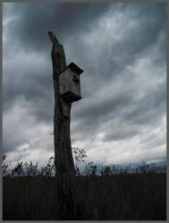 post-6245-0-89044100-1349799798_thumb.jp