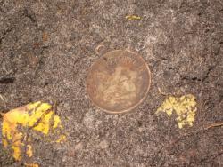 post-6368-0-02192200-1349550389_thumb.jp