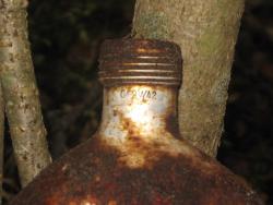 post-6368-0-36314000-1350233813_thumb.jp