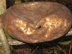 post-6368-0-89706900-1350233785_thumb.jp