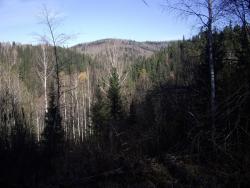 post-7090-0-26483000-1350445211_thumb.jp