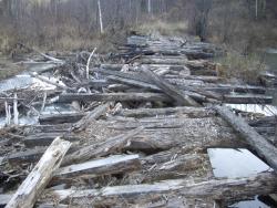 post-7090-0-39927400-1350447208_thumb.jp